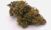 Rainbow Sherb CBD